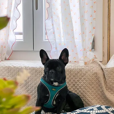 Calligher Apartman Bibione