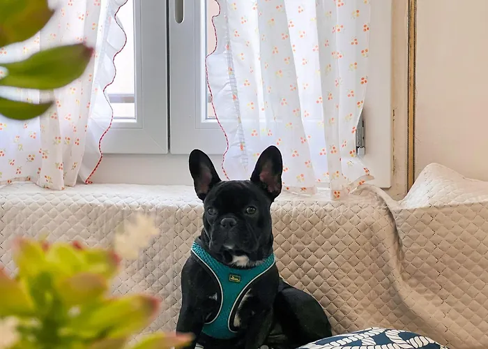 Calligher Apartamento Bibione